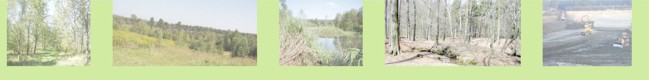 Fotoleiste mit Bildern rekultivierter Abgrabungen und einer aktuellen Tonabgrabung