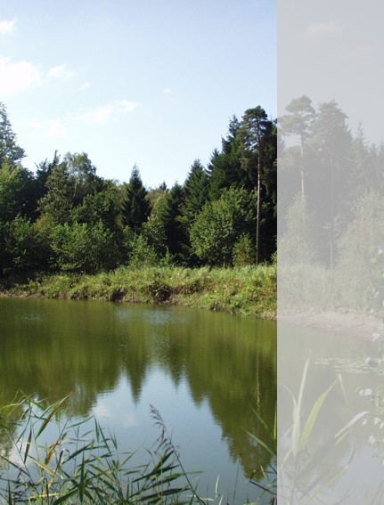 Foto rekultivierte Abgrabungsfläche